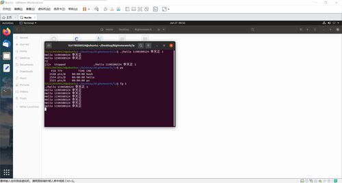 哈爾濱工業(yè)大學計算機系統(tǒng)大作業(yè) 程序人生——從Hello World到P2P網(wǎng)絡(luò)
